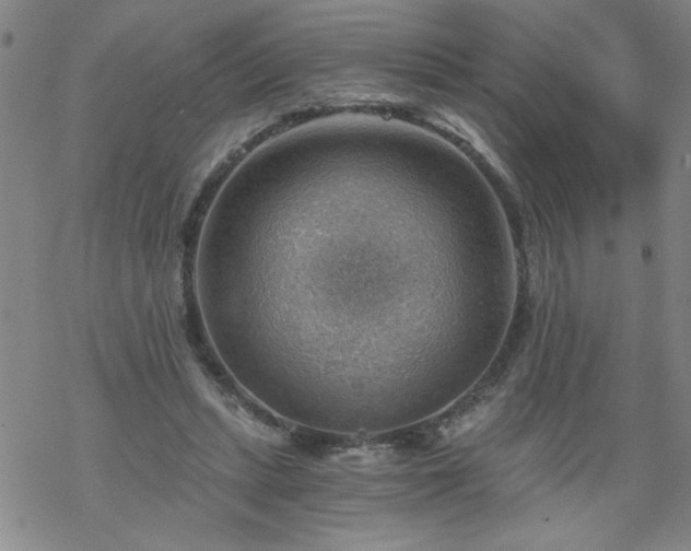 X0000068900447200605122104