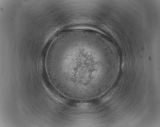 X0000068900448200605122104