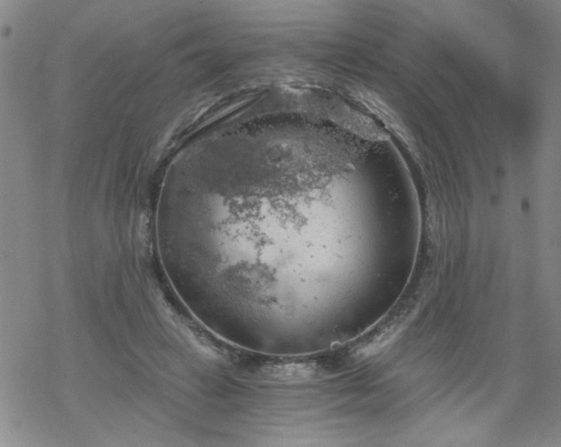 X0000068900449200605122104