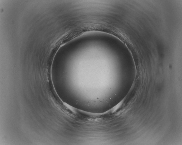 X0000068900450200605122104