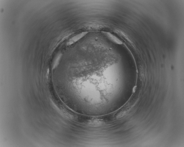 X0000068900451200605122104