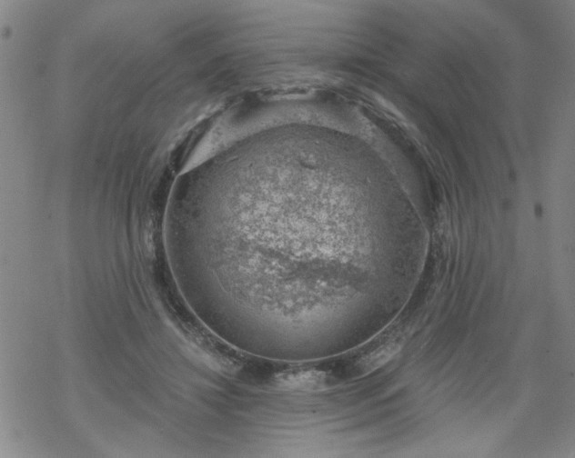 X0000068900452200605122104