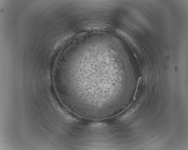 X0000068900453200605122104