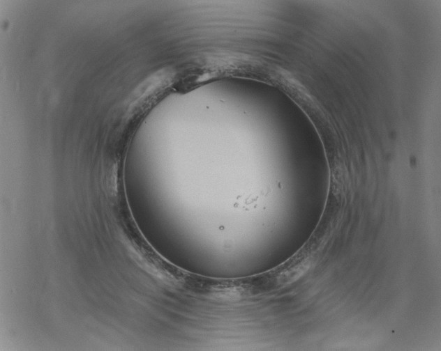 X0000068900454200605122104