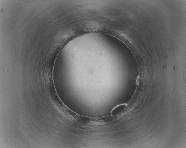 X0000068900455200605122104