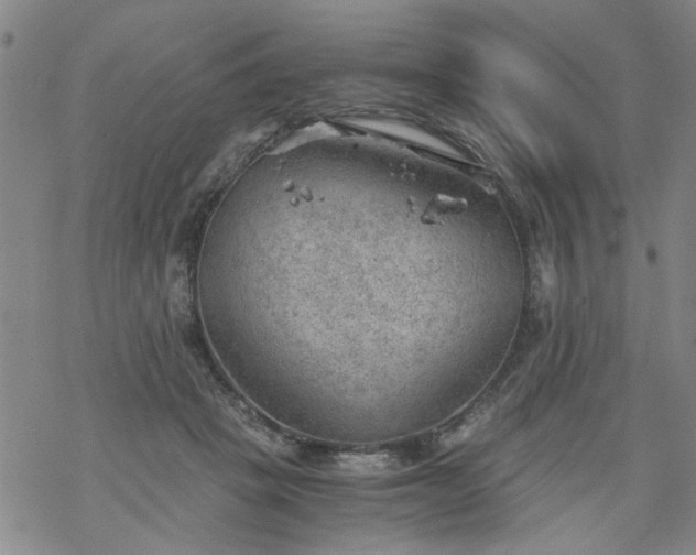 X0000068900457200605122104