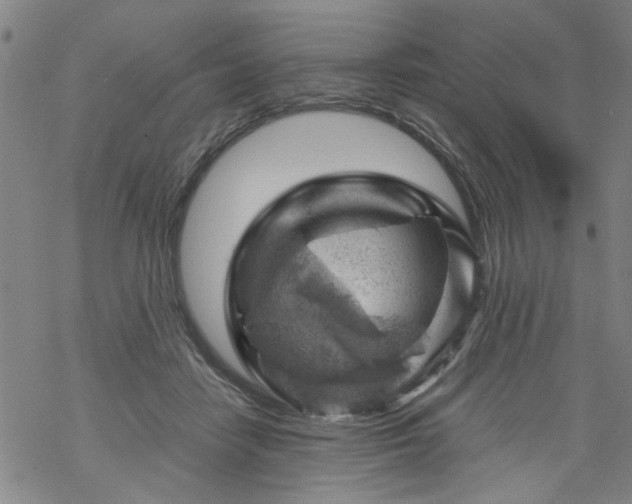 X0000068900458200605122104