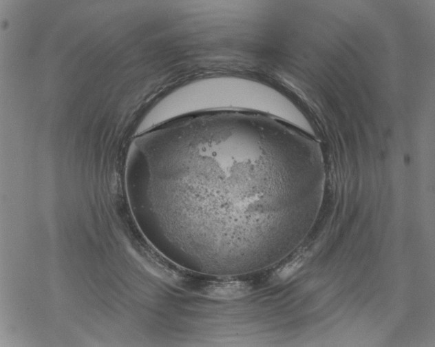 X0000068900459200605122104