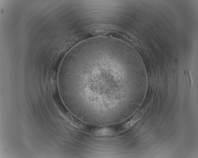 X0000068900460200605122104