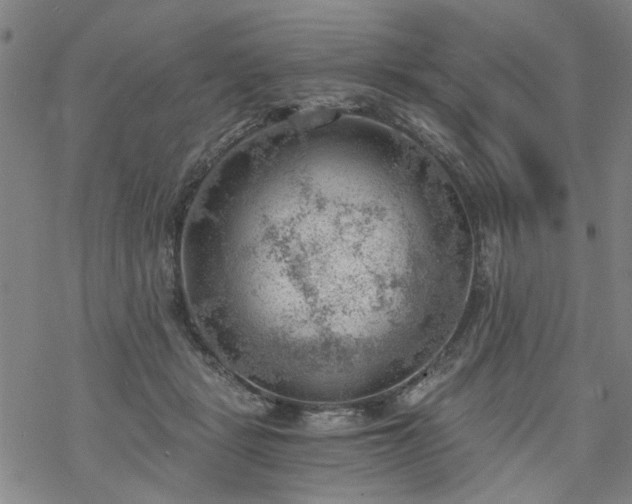 X0000068900461200605122104