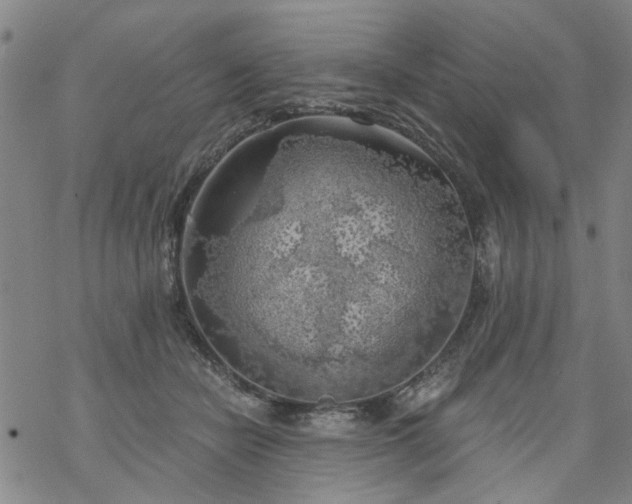 X0000068900462200605122104