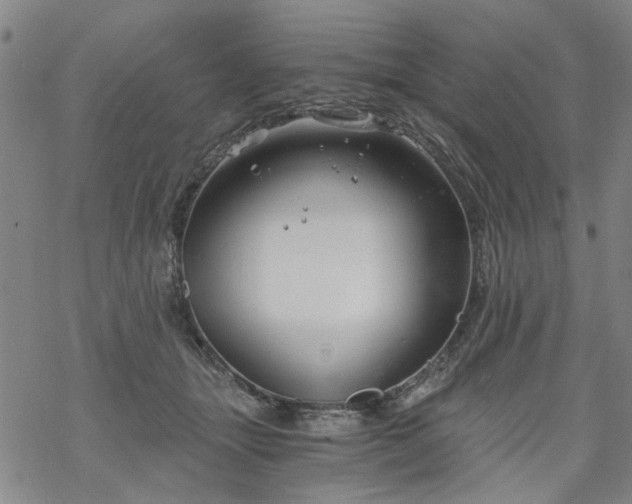 X0000068900463200605122104