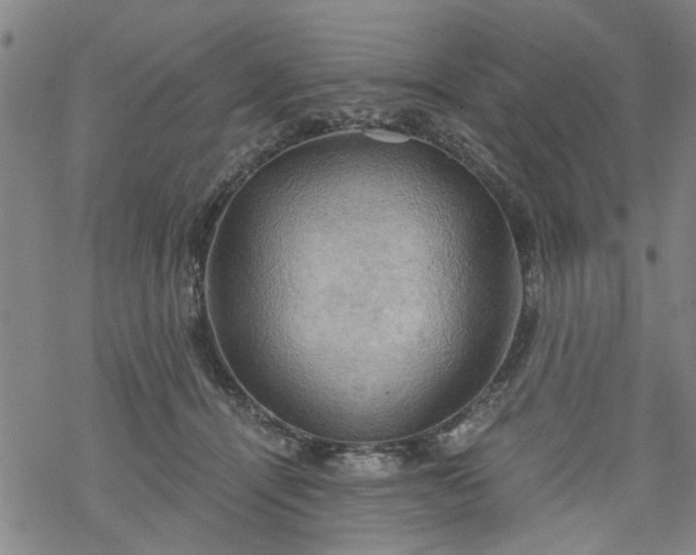 X0000068900464200605122104