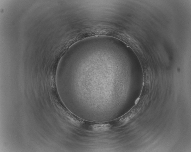 X0000068900465200605122104