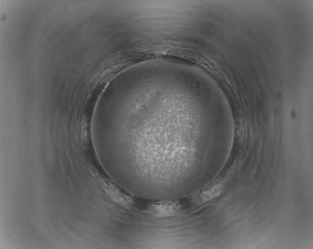 X0000068900466200605122104