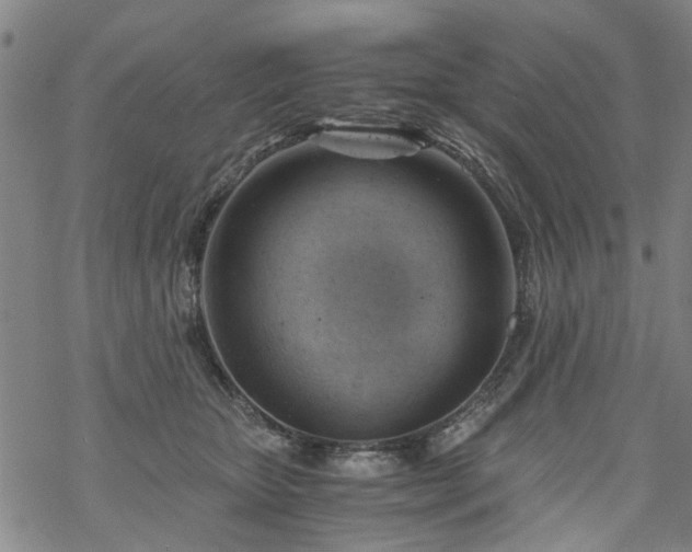 X0000068900467200605122104