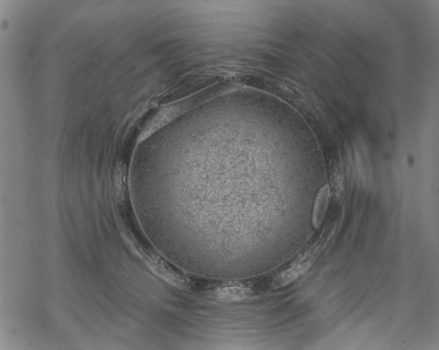 X0000068900468200605122104