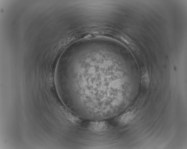 X0000068900469200605122104