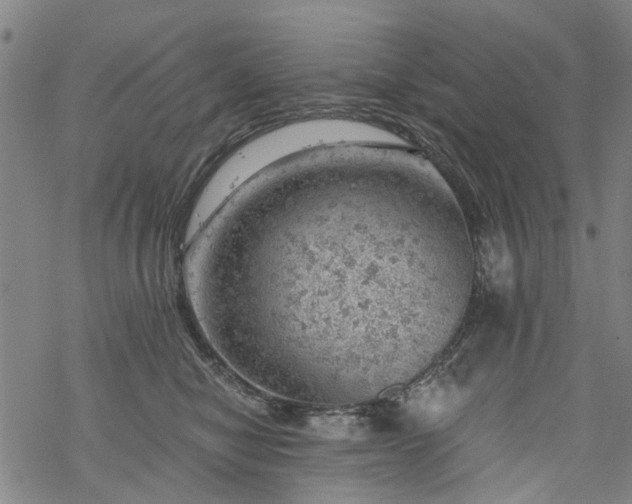 X0000068900470200605122104