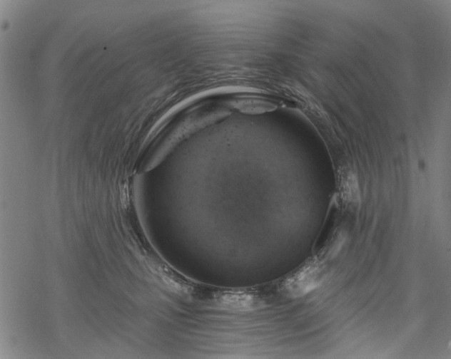 X0000068900471200605122104