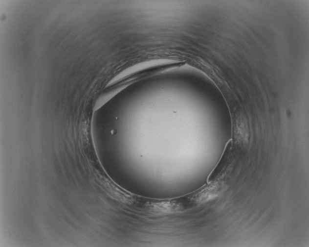 X0000068900473200605122104