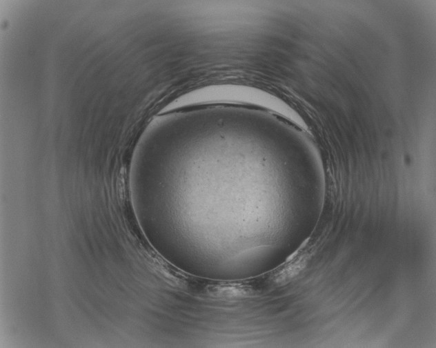 X0000068900475200605122104