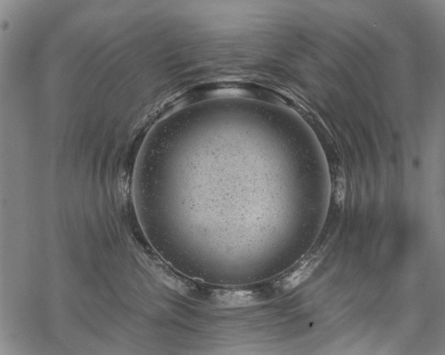 X0000068900476200605122104