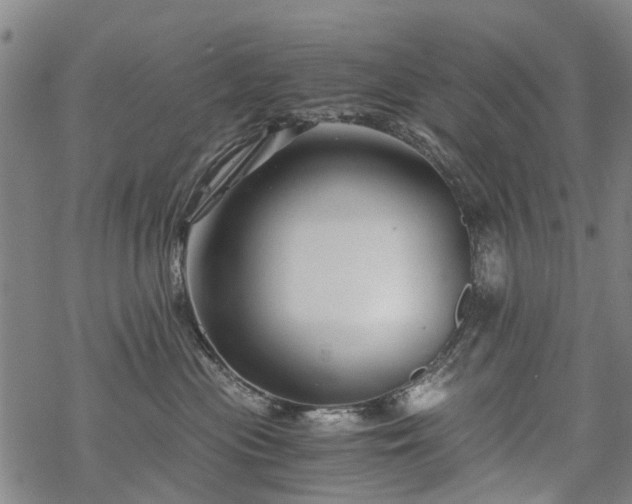 X0000068900477200605122104