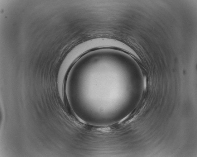 X0000068900478200605122104