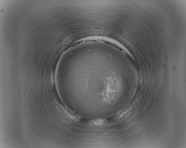 X0000068900479200605122104