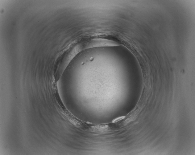 X0000068900480200605122104