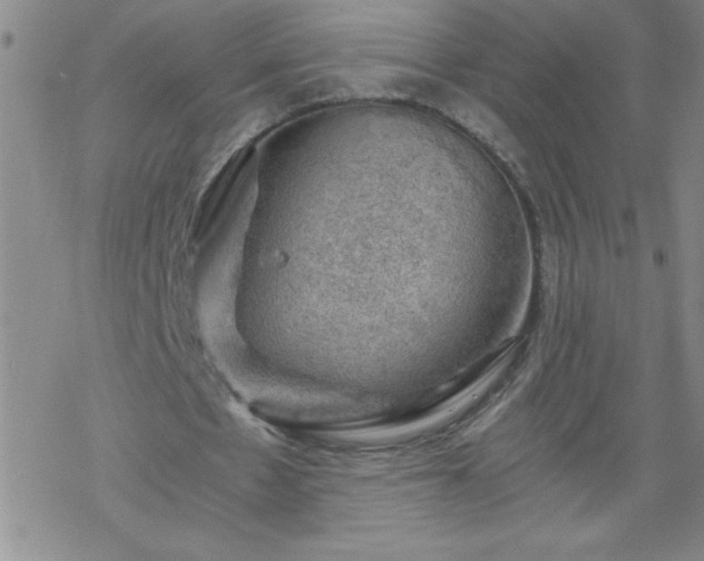 X0000068900481200605122104