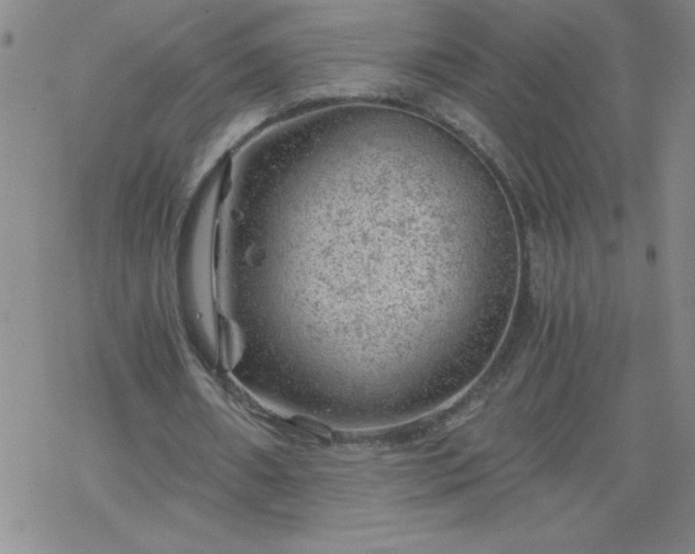 X0000068900482200605122104