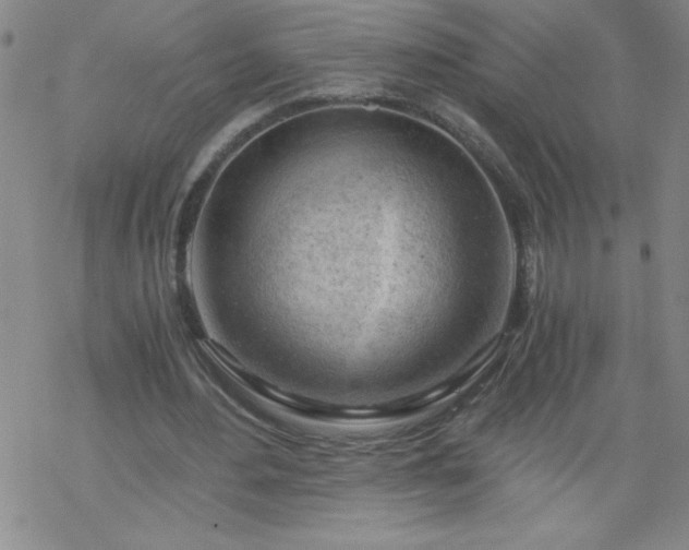 X0000068900484200605122104