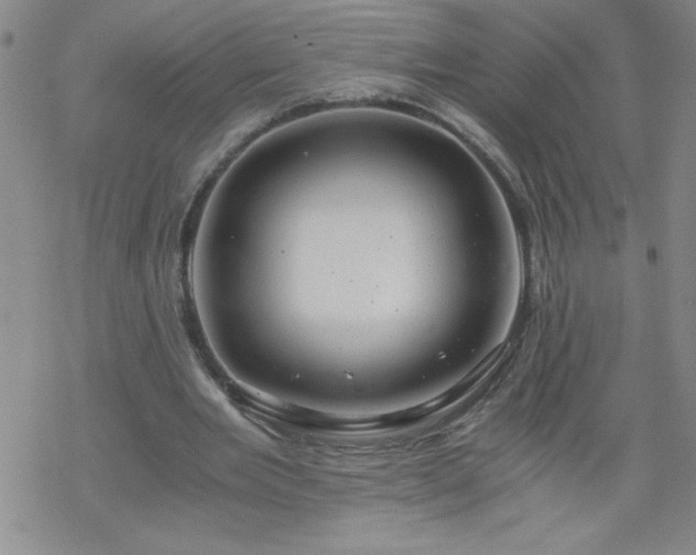 X0000068900485200605122104