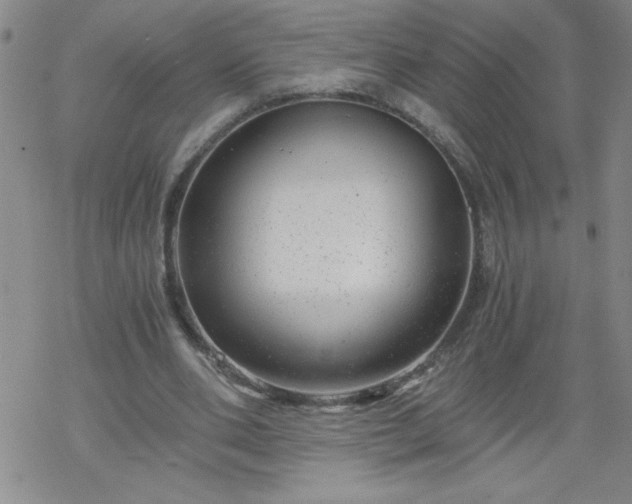 X0000068900486200605122104