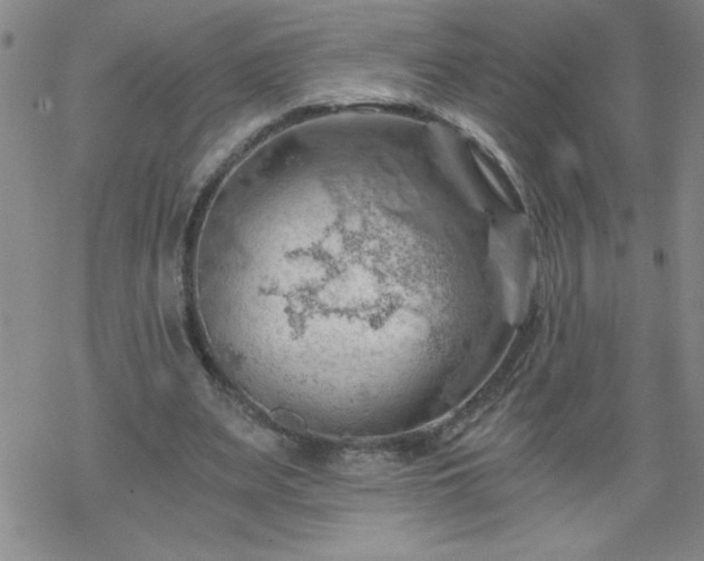 X0000068900487200605122104