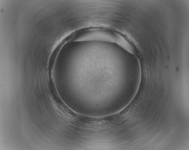 X0000068900488200605122104