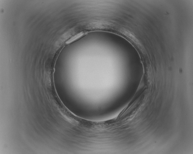 X0000068900489200605122104