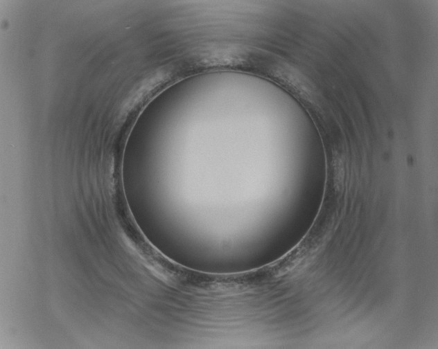 X0000068900490200605122104