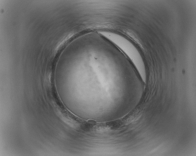 X0000068900491200605122104