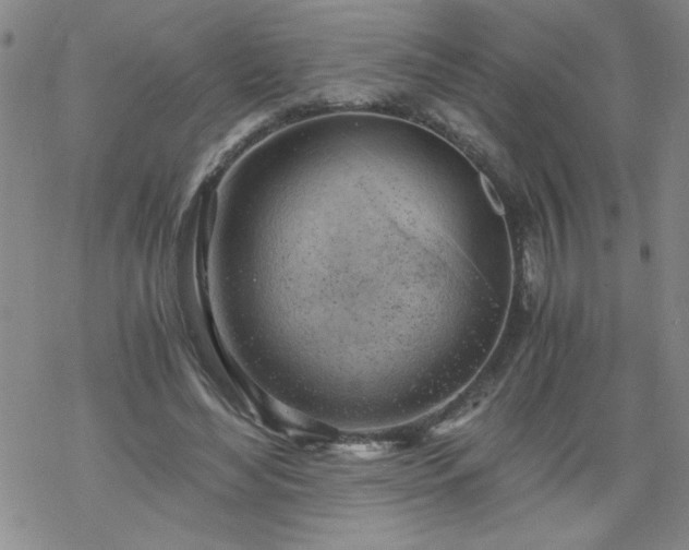 X0000068900492200605122104