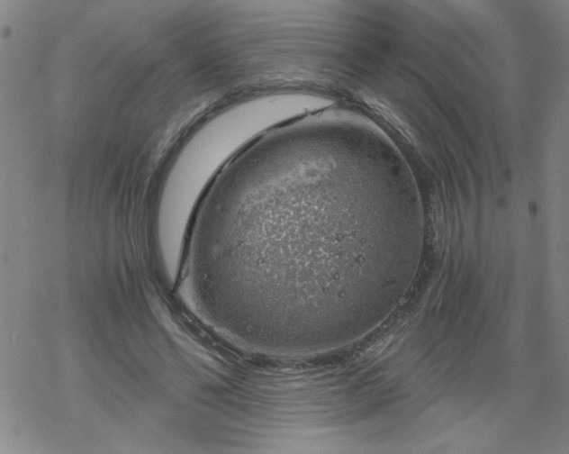 X0000068900494200605122103