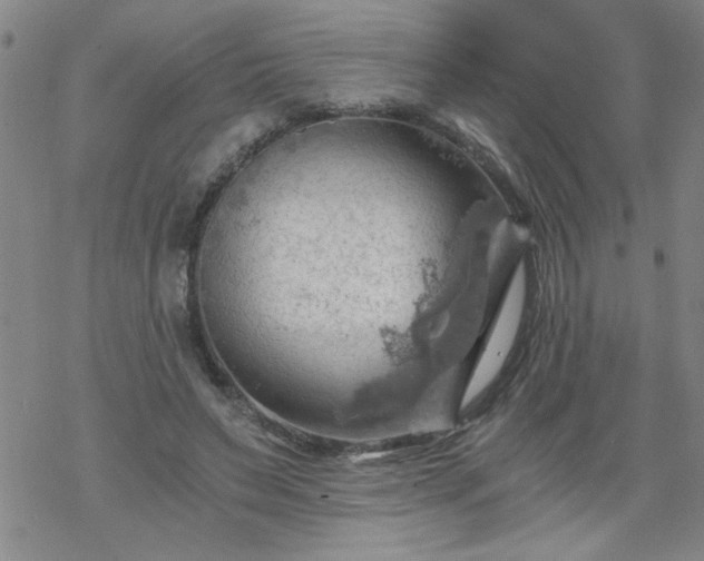 X0000068900495200605122103