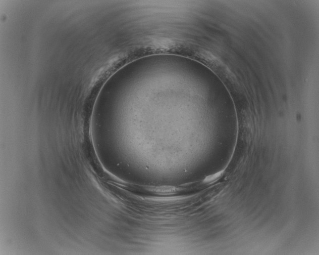 X0000068900496200605122103