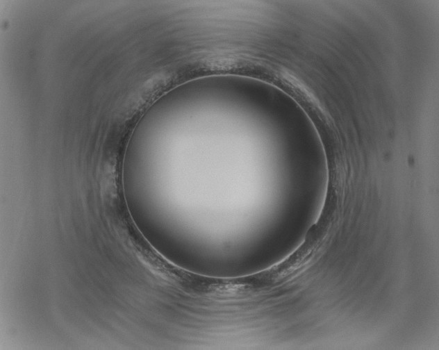 X0000068900497200605122103