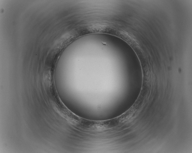 X0000068900498200605122103