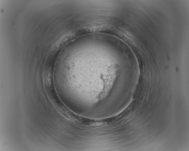 X0000068900499200605122103