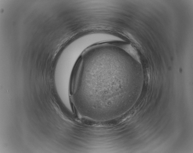 X0000068900500200605122103