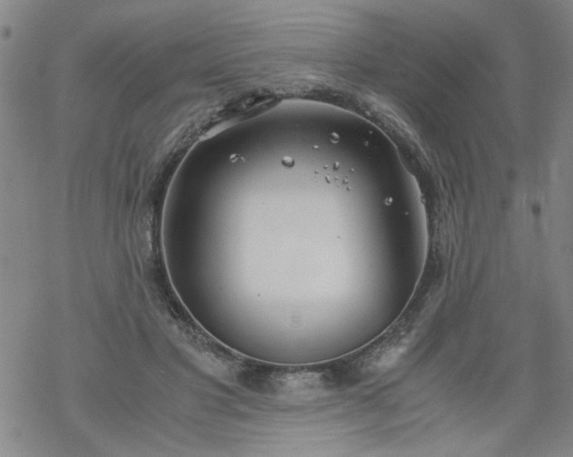 X0000068900501200605122103